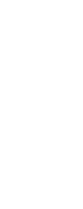 udi